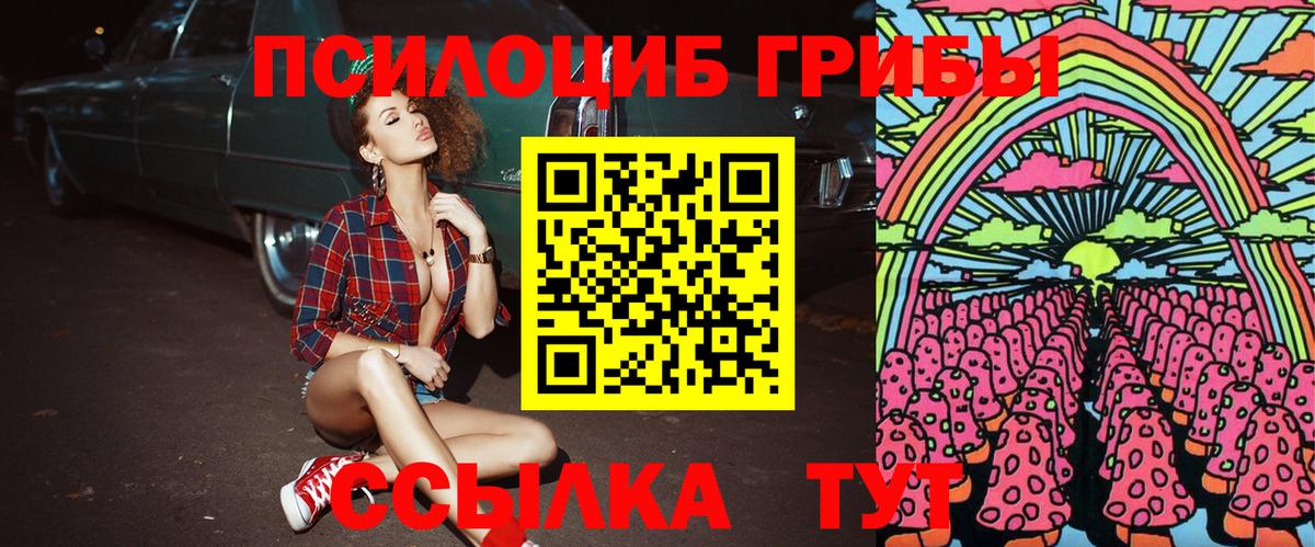 Псилоцибиновые грибы MAGIC MUSHROOMS  Вход с VPN  Лобня 